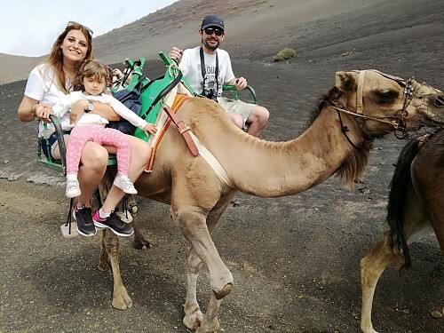 paseo en camellos en Lanzarote