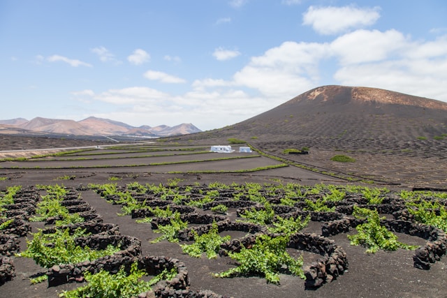 la geria lanzarote