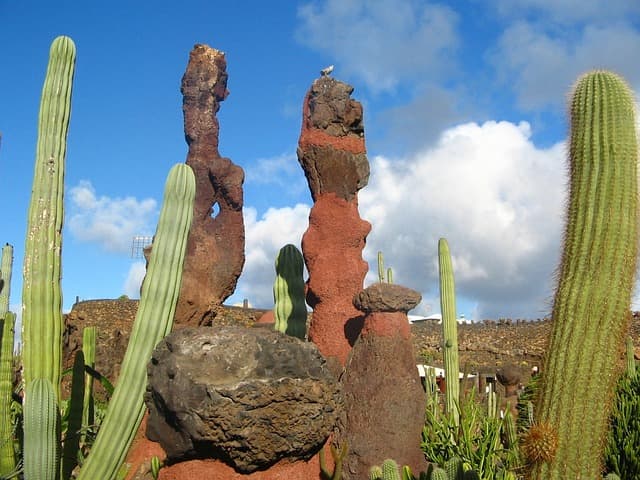 ¿Cómo es el clima en Lanzarote? Una guía completa