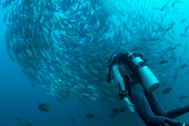 zonas de buceo en lanzarote